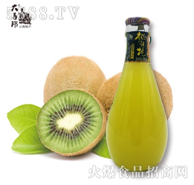 ���R��J����֭226ml