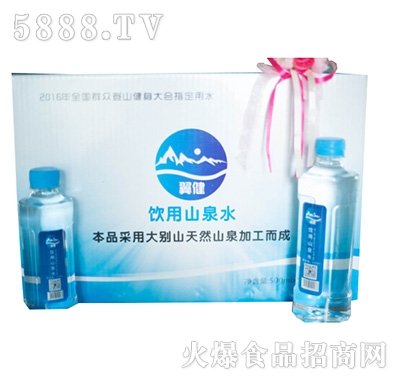 ����ϵ��300ML���ɽȪˮ