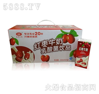 ���������t��ţ�������