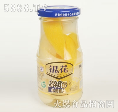 �y��ʲ�\���^248��