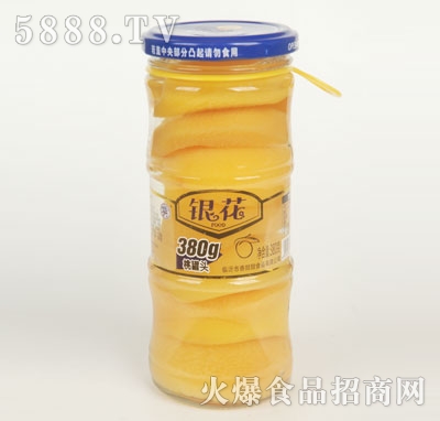 �y���ҹ��^380g