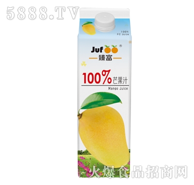 臻富芒果汁1kg