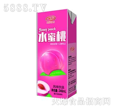 ���ˮ�����Lζ�Ʒ256ml