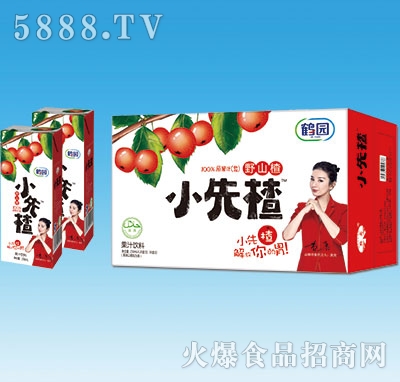 �Q�@С���ɽ�֭250mlx20��