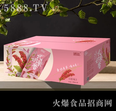 ���˴�������ԭζ250mlX24