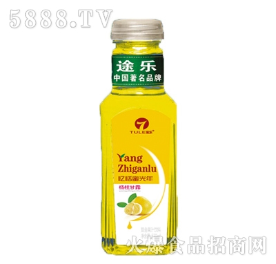 ;��������ϗ�֦��¶ζ520ml