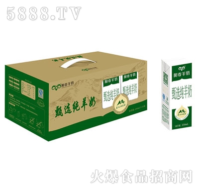 ꖴ��������x������