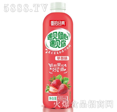��ʰ������������ݮ֭480ml