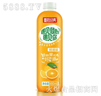 ��ʰ��(j��ng)���������r��֭480ml