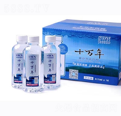 ʮ�f����Ȼ���Ȫˮ317mlx16ƿ