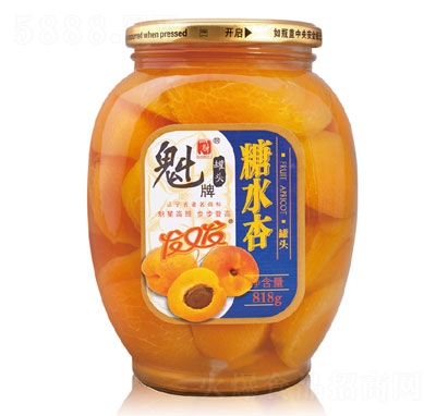 ������ˮ�ӹ��^818g