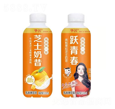 �A���S�ҹ���֥ʿ����������Ʒ520ml