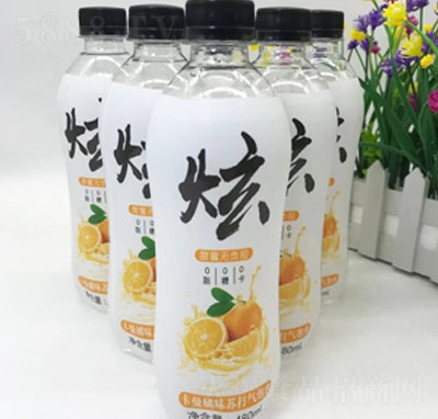 �ſ�����ζ�K�����ˮ480ml