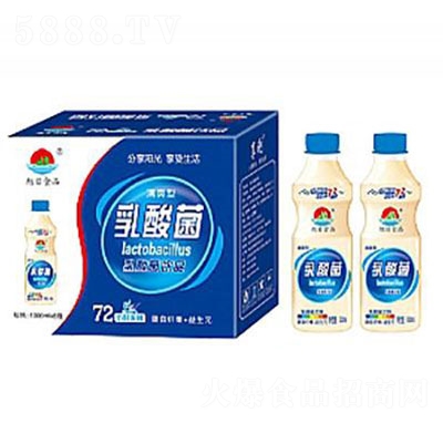 ����ʳƷ��������b