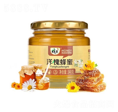 ��ʥ�󻱷���340g