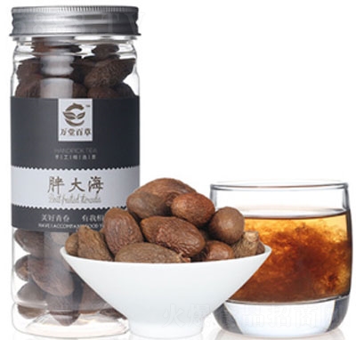 ������ִ󺣴��ò�