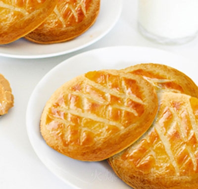 ��ʽ����