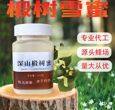 ������鲘���