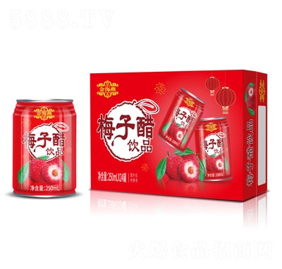 ����÷�Ӵ��Ʒ250mlX24