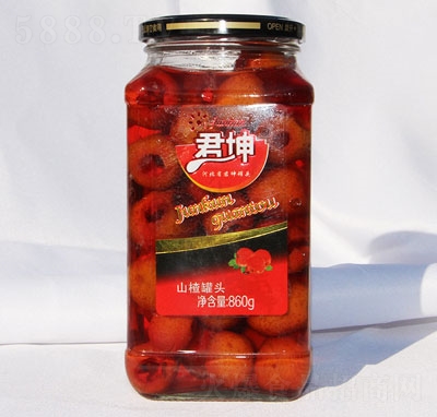 ����ɽ髹��^860��