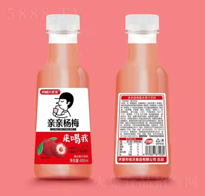 �����������H�H��÷�ͺϹ�֭���480ml