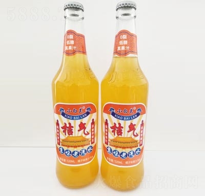 С���m�ۚ⾩ζ����ˮ̼�����520ml�ļ����