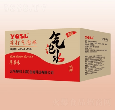 Ԫ?d��)ⶣ���K�����ˮ��ݮζ460mlX15ƿ�ļ��Ʒ����