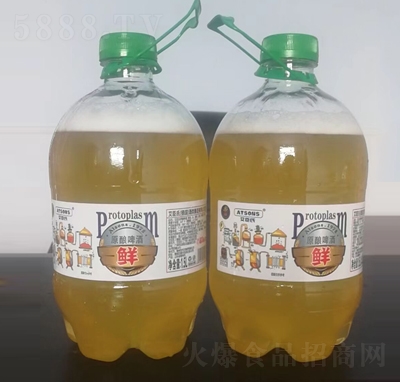 ������ԭ�ơ��1.5L�ļ��Ʒ���̴���