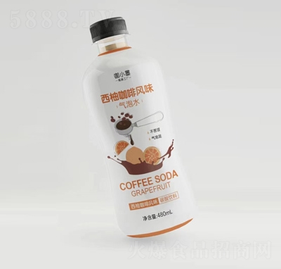 ��Сī���ֿ����Lζ����ˮ���̴���480ml