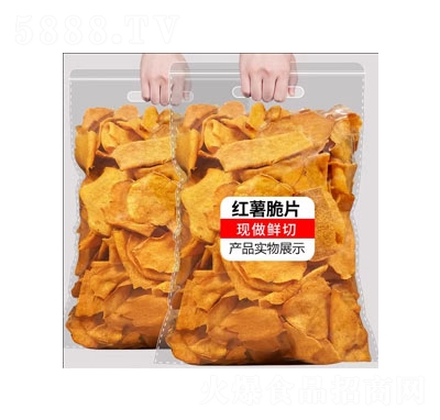 ���������t��Ƭ���e�������T