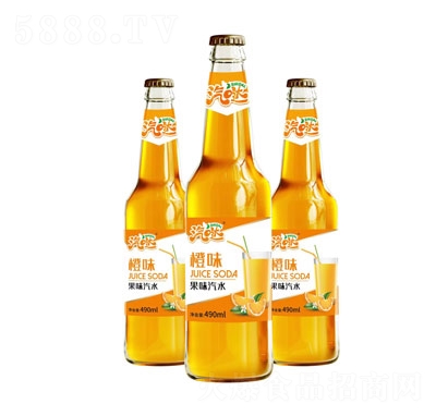 ���}��ζ��ζ��ˮ490ml