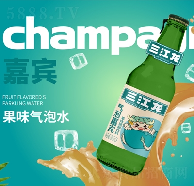 ���������ݼ��e��ζ����ˮ̼�����500ml