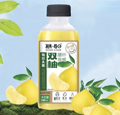 ���B(y��ng)ÿ���p�֏�(f��)�Ϲ�֭���500ml