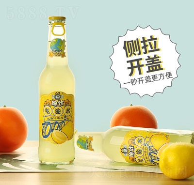 ����Դ��֭����ˮ����ƿ�b̼�����