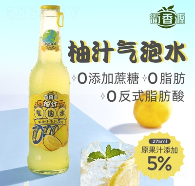 ����Դ����ƿ�b��֭����ˮ̼�����