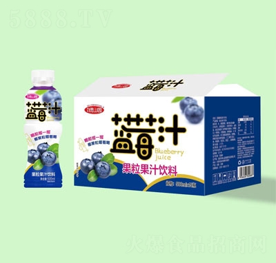 �Gɽ�@������֭����{ݮ֭500ml��15ƿ