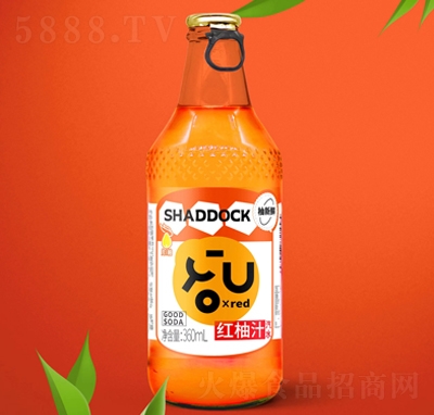 ���������r�t��֭��ˮ360ml̼�����
