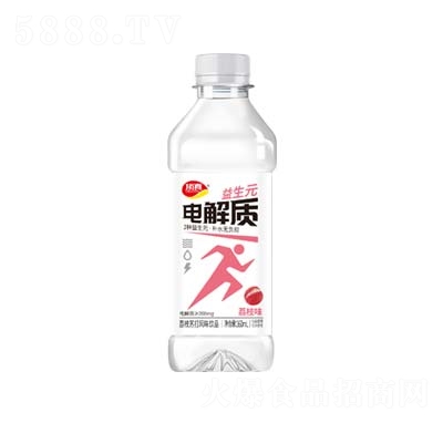 ���늽��|(zh��)�K��ˮ�L(f��ng)ζ�Ʒ��֦ζ360ml