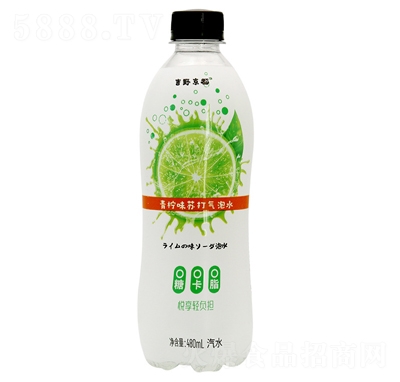 ��Ұ��������ζ�K�����ˮ480mƿ�W(w��ng)�t���