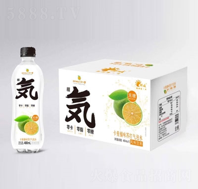 �r��������ζ�K�����ˮ480mlX15