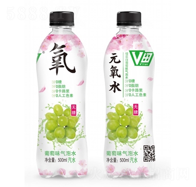 V��ѻ�������ζ����ˮ500ml̼�����