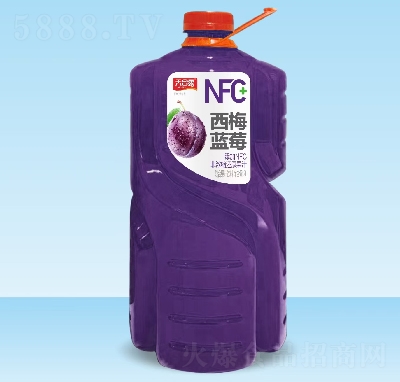 天合露藍莓西梅汁果汁飲料2L