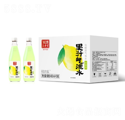 1828���ϼ���֭����ˮ����ζ480mlX15ƿ