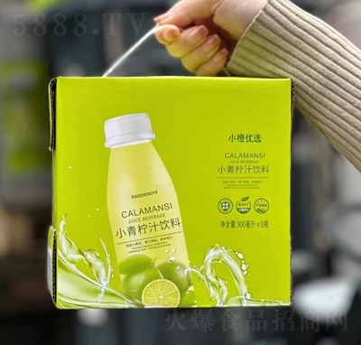 С�ȃ�(y��u)�xС����֭�������