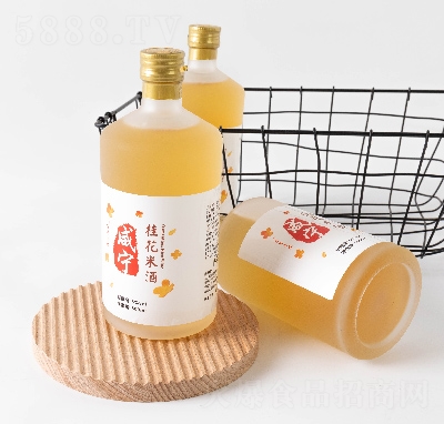 �f�dʳƷ�̌����׾�500ml