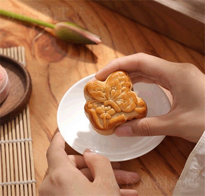 ��������Vʽ���ɢ�b��Y����Ŵ����