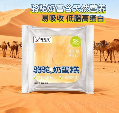 ߹��߹���̵���ɢ�b�Q��