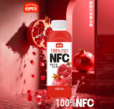 ���B(y��ng)��100%ʯ��֭500ml