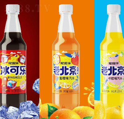 �������ϱ�����ˮ̼�����520ml