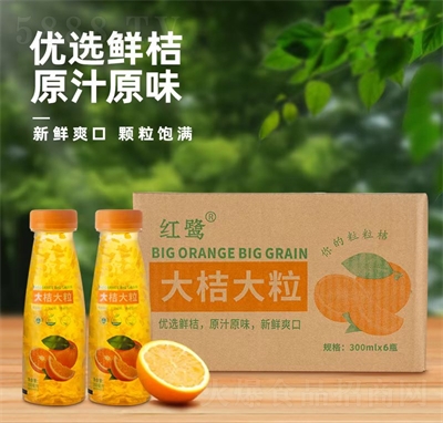 �t����۴�����֭���300ml��6